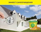 Vetonit pas ЭкстраКлин (ЭкстраЧистый) 1.5 мм., Силикатно-силиконовая декоративная штукатурка "шуба", 25 кг